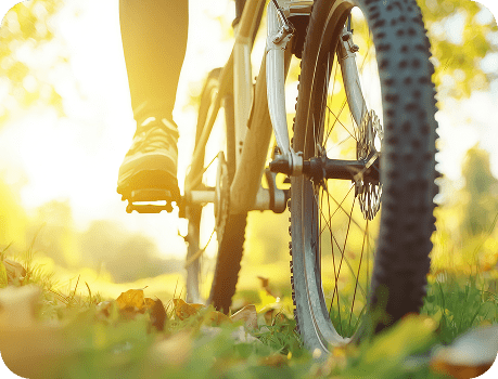 Notre sélection VTT   image